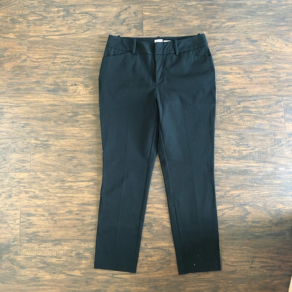 Dress Pants